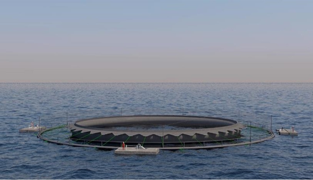 Marine - fish farming