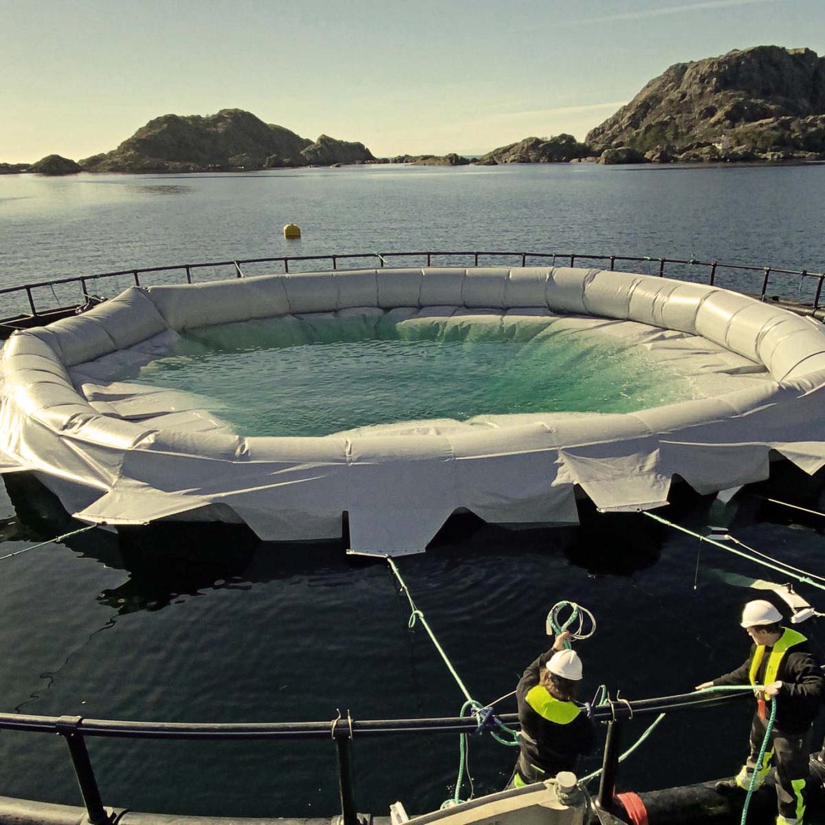 Our solutions within marine and fish farming